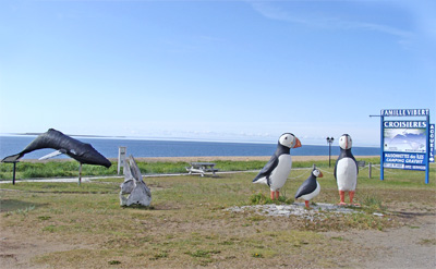 Macareux et baleine - Famille Vibert