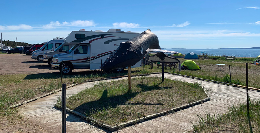 Terrains de camping - Motorisé vue sur la mer